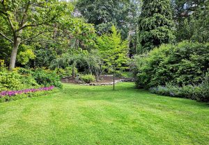 Optimiser l'expérience du jardin à Bergouey-Viellenave